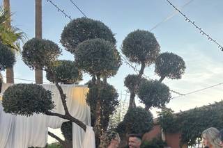 Jardines El Zahor - 17