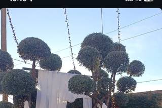 Jardines El Zahor - 18