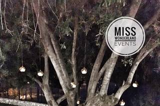 Miss Wonderland Events - 7