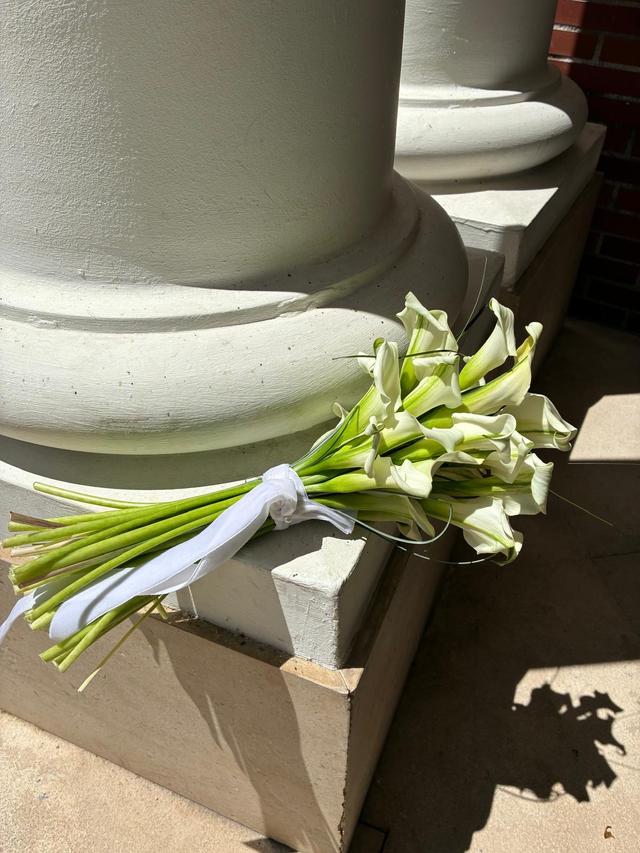 Ilhe Bodas - 2