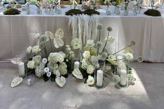 Ilhe Bodas - 7