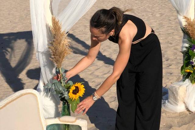 Frangipani Eventos 5