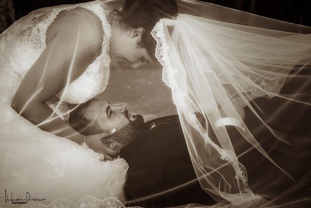 Draco Photography - 4