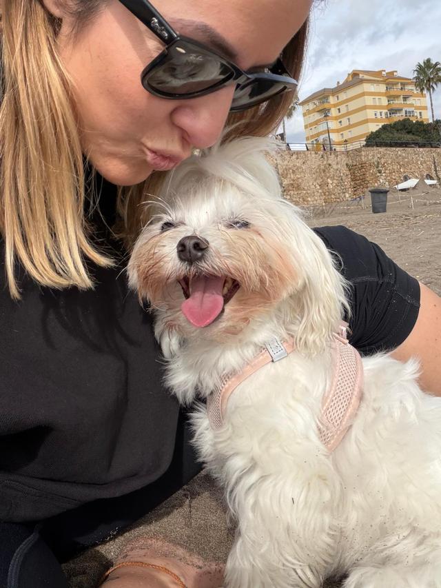 Bodas con Huella - Tu Perro en tu Evento - 2