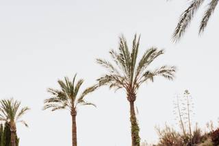 Melissa Belmonte Films - 5