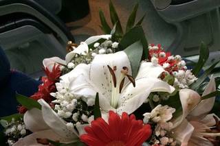 Floristería Encanto - 15