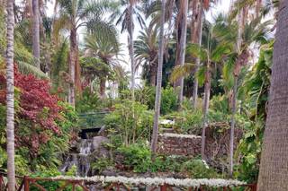 Precise Resort Puerto de la Cruz Tenerife - 11