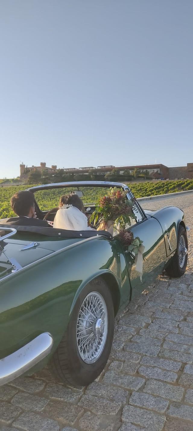 Elegancia vintage sobre ruedas - 3