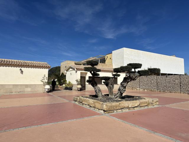 Ermita Madre de Dios - 3