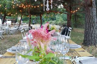 The Wedding Planner Company - 7