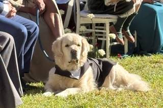 Bodas con Huella - Tu Perro en tu Evento - 4