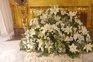 Floristería San Lorenzo - 13