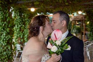 Trébol Fotografía - 1
