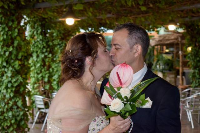 Trébol Fotografía 1