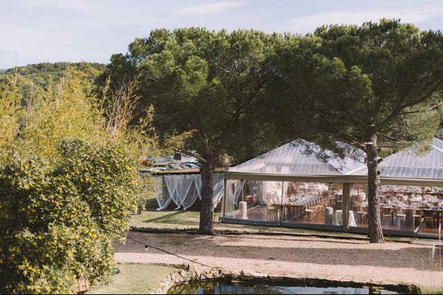 Actuality Carpas - 3