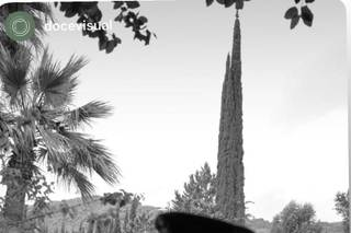 Doce Visual - 6