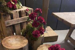 Flores para Venus - 6