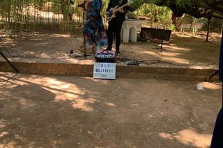Wild Mojarras - 4