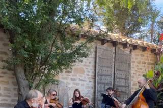 Quinteto Cordal - 6