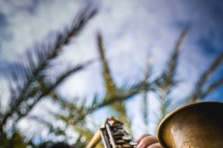 Berzosax Combo - 8