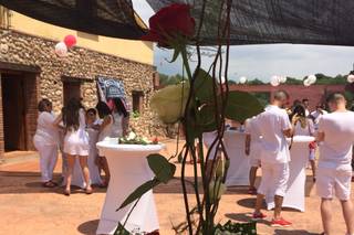 Jeyrs Catering - 17