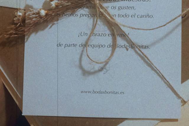 BodasBonitas 5