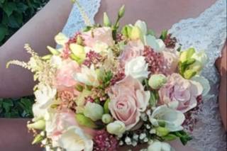 Decano Floristas - 10