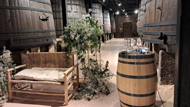 Bodegas Franco-Españolas - 3