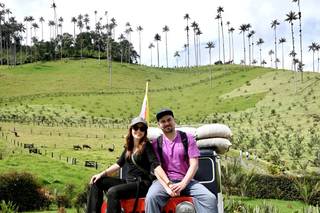 Dreams and Tours - 7