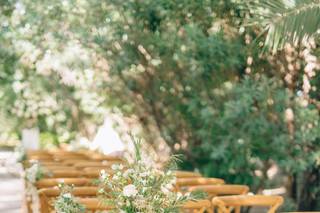 Jardins El Poblet - 8