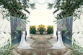 Sweet Shot Photos - 6
