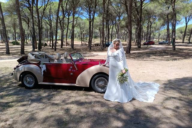 Magistral Royal Cars 1
