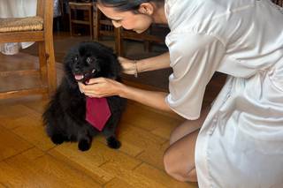 Tu perro en tu boda - 10