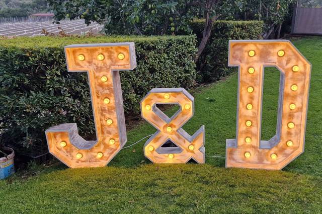 Dj Ab Wedding Party 5