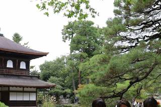 Infinity Tours - 11