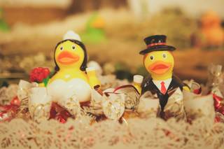 Finca El Batanejo - 10