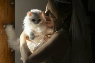 Infinity Crew Co - 12