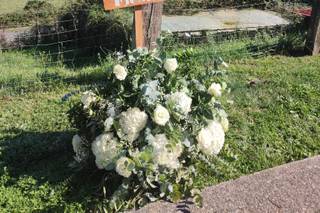 Bodas con H - 7