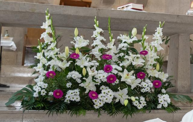 Flor de Holanda - 4