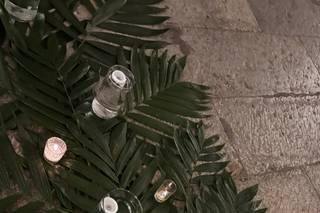 Fusion Bodas - 18