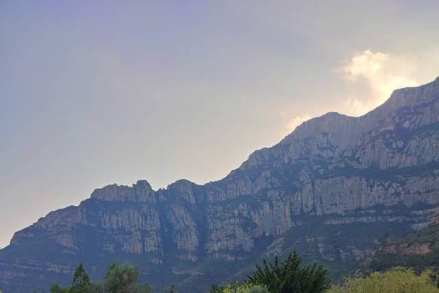 Vila Vallbona 2