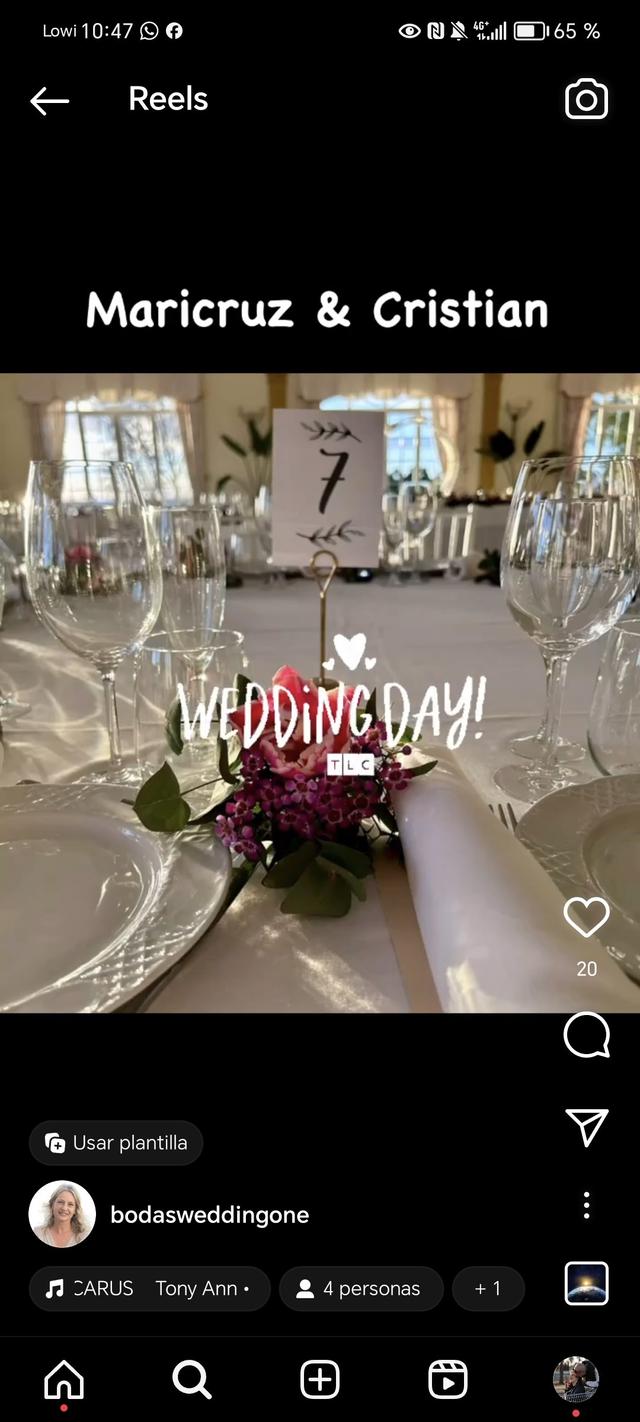 Bodas Wedding One - 2