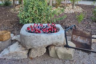 Finca Mainetes - Hotel Bodega - 9
