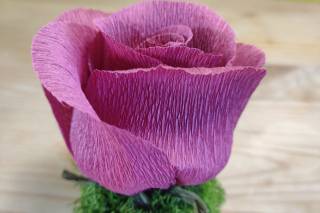 Ridvan Flowers - 3