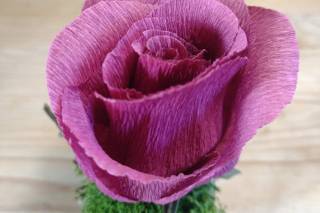 Ridvan Flowers - 4