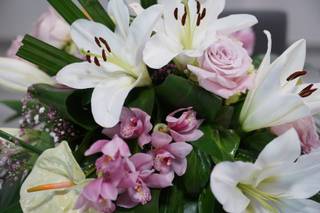 L’Arbre Flors - 8
