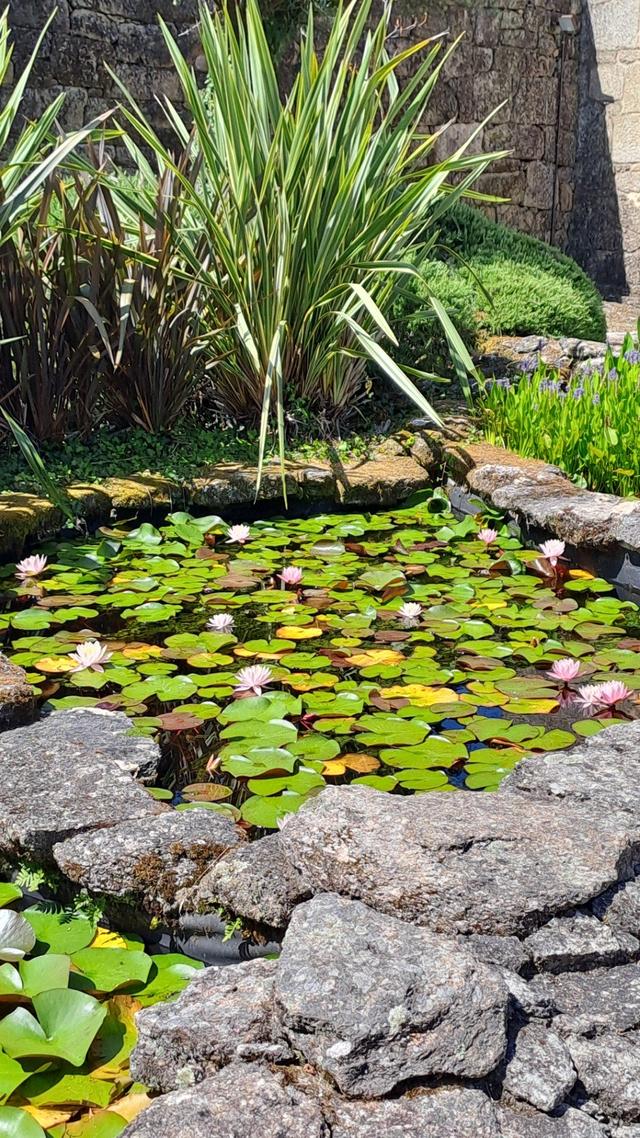 Caldaria Hoteles y Balnearios - 2