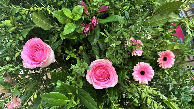 Flores Alme - 3