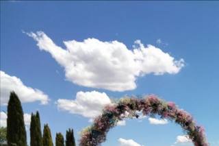 Silvia Cid Floristería - 12