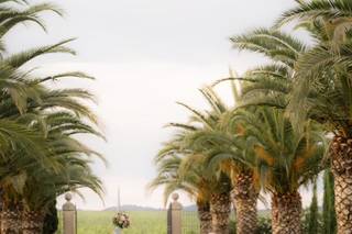 JRvisual Studios - 13